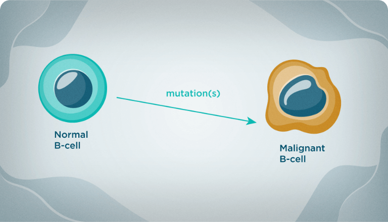 What Is Chronic Lymphocytic Leukemia/Small Lymphocytic Lymphoma?